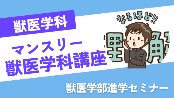 マンスリー
